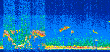 /calipso-imagery/data/BROWSE/production/V5-00/2014-10-08/2014-10-08_09-47-40_V5.00_2_thmb.png image missing
