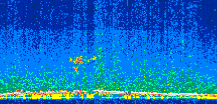 /calipso-imagery/data/BROWSE/production/V5-00/2014-10-08/2014-10-08_19-40-51_V5.00_2_thmb.png image missing