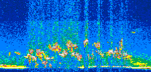 /calipso-imagery/data/BROWSE/production/V5-00/2014-10-31/2014-10-31_04-54-58_V5.00_2_thmb.png image missing