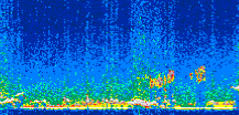 /calipso-imagery/data/BROWSE/production/V5-00/2014-11-30/2014-11-30_06-43-40_V5.00_2_thmb.png image missing
