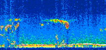 /calipso-imagery/data/BROWSE/production/V5-00/2014-11-30/2014-11-30_23-12-27_V5.00_3_thmb.png image missing