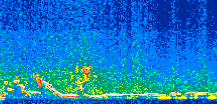 /calipso-imagery/data/BROWSE/production/V5-00/2014-12-30/2014-12-30_13-31-47_V5.00_2_thmb.png image missing