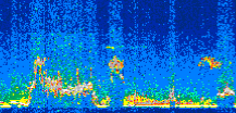 /calipso-imagery/data/BROWSE/production/V5-00/2014-12-30/2014-12-30_18-28-23_V5.00_3_thmb.png image missing