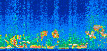 /calipso-imagery/data/BROWSE/production/V5-00/2015-01-04/2015-01-04_00-39-17_V5.00_2_thmb.png image missing