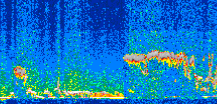 /calipso-imagery/data/BROWSE/production/V5-00/2015-01-04/2015-01-04_03-57-02_V5.00_2_thmb.png image missing