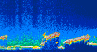 /calipso-imagery/data/BROWSE/production/V5-00/2015-01-04/2015-01-04_13-50-19_V5.00_4_thmb.png image missing
