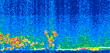 /calipso-imagery/data/BROWSE/production/V5-00/2015-01-04/2015-01-04_18-46-59_V5.00_2_thmb.png image missing
