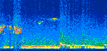 /calipso-imagery/data/BROWSE/production/V5-00/2015-01-04/2015-01-04_23-43-40_V5.00_3_thmb.png image missing