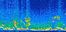 /calipso-imagery/data/BROWSE/production/V5-00/2015-01-06/2015-01-06_00-26-53_V5.00_2_thmb.png image missing