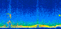 /calipso-imagery/data/BROWSE/production/V5-00/2015-01-06/2015-01-06_08-41-19_V5.00_3_thmb.png image missing
