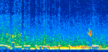 /calipso-imagery/data/BROWSE/production/V5-00/2015-01-06/2015-01-06_15-16-55_V5.00_2_thmb.png image missing