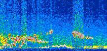 /calipso-imagery/data/BROWSE/production/V5-00/2015-01-06/2015-01-06_18-34-41_V5.00_2_thmb.png image missing