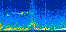 /calipso-imagery/data/BROWSE/production/V5-00/2015-01-06/2015-01-06_23-31-16_V5.00_3_thmb.png image missing
