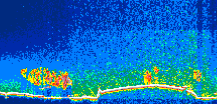 /calipso-imagery/data/BROWSE/production/V5-00/2015-01-21/2015-01-21_09-37-48_V5.00_1_thmb.png image missing