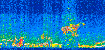 /calipso-imagery/data/BROWSE/production/V5-00/2015-01-21/2015-01-21_16-13-23_V5.00_2_thmb.png image missing