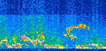 /calipso-imagery/data/BROWSE/production/V5-00/2015-01-21/2015-01-21_21-10-04_V5.00_2_thmb.png image missing
