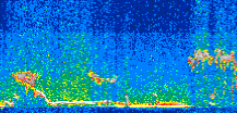 /calipso-imagery/data/BROWSE/production/V5-00/2015-01-26/2015-01-26_16-32-30_V5.00_2_thmb.png image missing