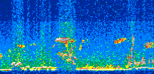 /calipso-imagery/data/BROWSE/production/V5-00/2015-01-28/2015-01-28_16-20-21_V5.00_2_thmb.png image missing