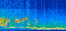 /calipso-imagery/data/BROWSE/production/V5-00/2015-01-28/2015-01-28_19-38-11_V5.00_2_thmb.png image missing