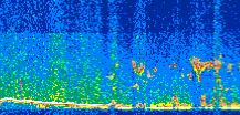 /calipso-imagery/data/BROWSE/production/V5-00/2015-01-28/2015-01-28_22-55-57_V5.00_2_thmb.png image missing