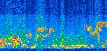 /calipso-imagery/data/BROWSE/production/V5-00/2015-01-29/2015-01-29_08-49-18_V5.00_2_thmb.png image missing