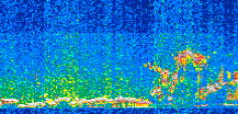 /calipso-imagery/data/BROWSE/production/V5-00/2015-01-29/2015-01-29_17-03-44_V5.00_2_thmb.png image missing