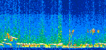 /calipso-imagery/data/BROWSE/production/V5-00/2015-01-30/2015-01-30_21-04-53_V5.00_2_thmb.png image missing