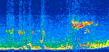 /calipso-imagery/data/BROWSE/production/V5-00/2015-03-07/2015-03-07_10-50-42_V5.00_2_thmb.png image missing