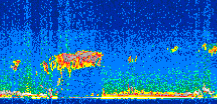 /calipso-imagery/data/BROWSE/production/V5-00/2015-03-07/2015-03-07_22-22-53_V5.00_2_thmb.png image missing