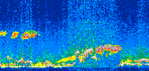 /calipso-imagery/data/BROWSE/production/V5-00/2015-03-08/2015-03-08_04-58-29_V5.00_3_thmb.png image missing