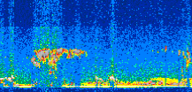 /calipso-imagery/data/BROWSE/production/V5-00/2015-03-08/2015-03-08_14-51-51_V5.00_2_thmb.png image missing
