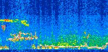 /calipso-imagery/data/BROWSE/production/V5-00/2015-03-09/2015-03-09_00-45-17_V5.00_3_thmb.png image missing