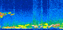 /calipso-imagery/data/BROWSE/production/V5-00/2015-03-09/2015-03-09_04-03-02_V5.00_3_thmb.png image missing