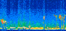/calipso-imagery/data/BROWSE/production/V5-00/2015-03-09/2015-03-09_07-20-48_V5.00_2_thmb.png image missing