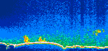 /calipso-imagery/data/BROWSE/production/V5-00/2015-03-09/2015-03-09_08-59-43_V5.00_1_thmb.png image missing