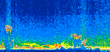 /calipso-imagery/data/BROWSE/production/V5-00/2015-03-09/2015-03-09_08-59-43_V5.00_3_thmb.png image missing