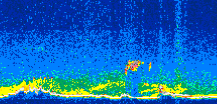 /calipso-imagery/data/BROWSE/production/V5-00/2015-03-09/2015-03-09_10-38-38_V5.00_3_thmb.png image missing