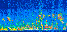 /calipso-imagery/data/BROWSE/production/V5-00/2015-03-09/2015-03-09_17-14-09_V5.00_2_thmb.png image missing