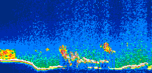 /calipso-imagery/data/BROWSE/production/V5-00/2015-04-05/2015-04-05_13-40-55_V5.00_1_thmb.png image missing