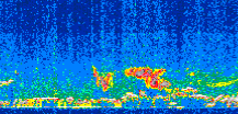 /calipso-imagery/data/BROWSE/production/V5-00/2015-04-05/2015-04-05_21-55-21_V5.00_3_thmb.png image missing