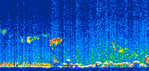 /calipso-imagery/data/BROWSE/production/V5-00/2015-04-05/2015-04-05_23-34-11_V5.00_3_thmb.png image missing