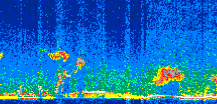 /calipso-imagery/data/BROWSE/production/V5-00/2015-04-16/2015-04-16_16-41-30_V5.00_3_thmb.png image missing