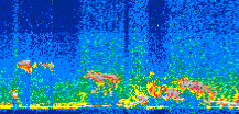 /calipso-imagery/data/BROWSE/production/V5-00/2015-05-09/2015-05-09_01-59-51_V5.00_3_thmb.png image missing