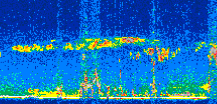 /calipso-imagery/data/BROWSE/production/V5-00/2015-05-09/2015-05-09_05-17-37_V5.00_2_thmb.png image missing