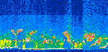 /calipso-imagery/data/BROWSE/production/V5-00/2015-05-28/2015-05-28_09-07-12_V5.00_3_thmb.png image missing