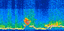 /calipso-imagery/data/BROWSE/production/V5-00/2015-05-28/2015-05-28_14-03-53_V5.00_3_thmb.png image missing