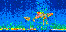 /calipso-imagery/data/BROWSE/production/V5-00/2015-05-28/2015-05-28_20-39-24_V5.00_2_thmb.png image missing