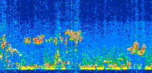 /calipso-imagery/data/BROWSE/production/V5-00/2015-06-01/2015-06-01_00-28-14_V5.00_2_thmb.png image missing