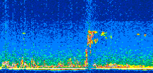 /calipso-imagery/data/BROWSE/production/V5-00/2015-06-01/2015-06-01_02-07-09_V5.00_2_thmb.png image missing