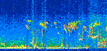 /calipso-imagery/data/BROWSE/production/V5-00/2015-06-01/2015-06-01_05-24-55_V5.00_2_thmb.png image missing